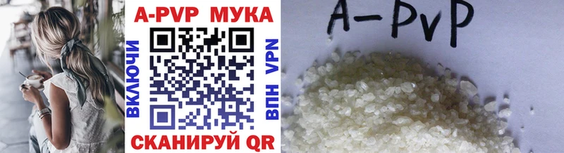 как найти   Туймазы  omg tor  Альфа ПВП СК 