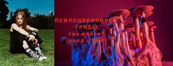 молекула духа Осинники
