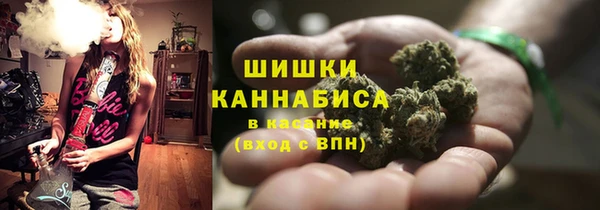 2c-b Осташков
