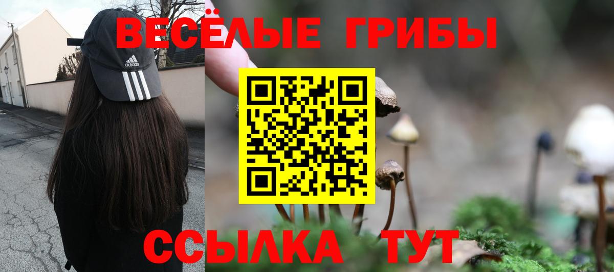 Псилоцибиновые грибы MAGIC MUSHROOMS  Вход с VPN  Туймазы  Псилоцибиновые грибы мухоморы 